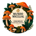 Mundo Micelial