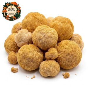 Cogumelo Juba de Leão (Hericium Erinaceus)