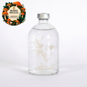 Amostra Taxonômica Cultura Líquida Psilocybe cubensis var. Albino Penis Envy (100 ml)
