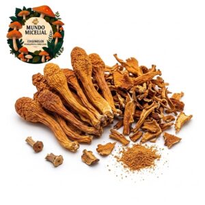 Cogumelo Cordyceps Militaris Desidratado